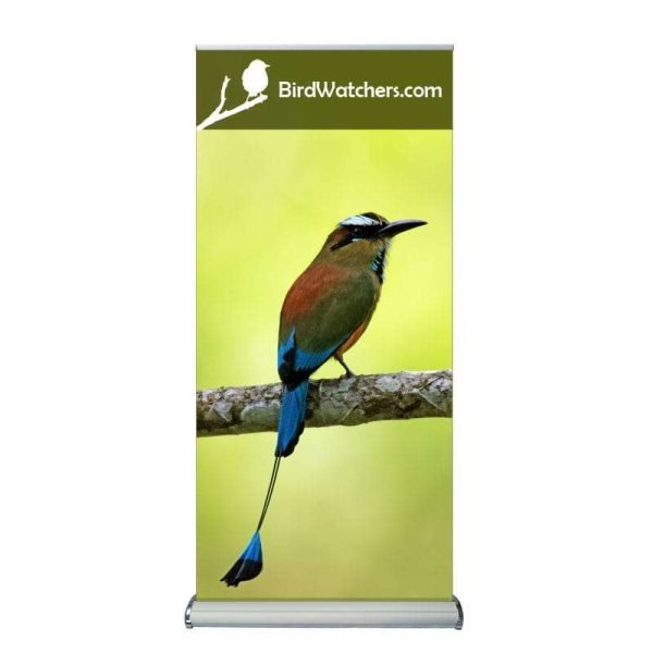 Banner stands